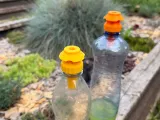 Bottle Wasp Trap-2