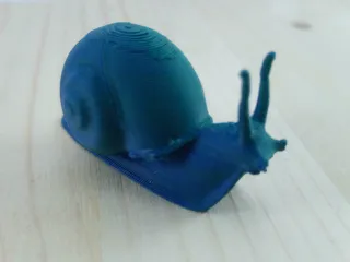 Snail