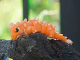 Flexy Ankylosaurus  No supports-3