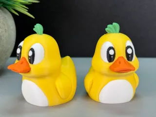 Cute Duck