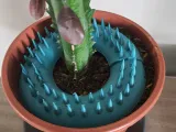 Protege plante-0