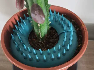 Protege plante
