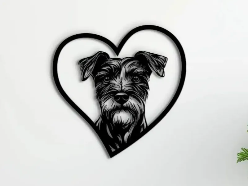 Cœur Fox Terrier