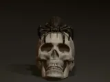 Skull & spider-1