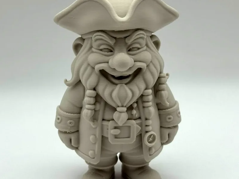 Pirate Gnome