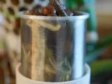RootDock Planter - Direct-to-Soil Propagation Pod-1
