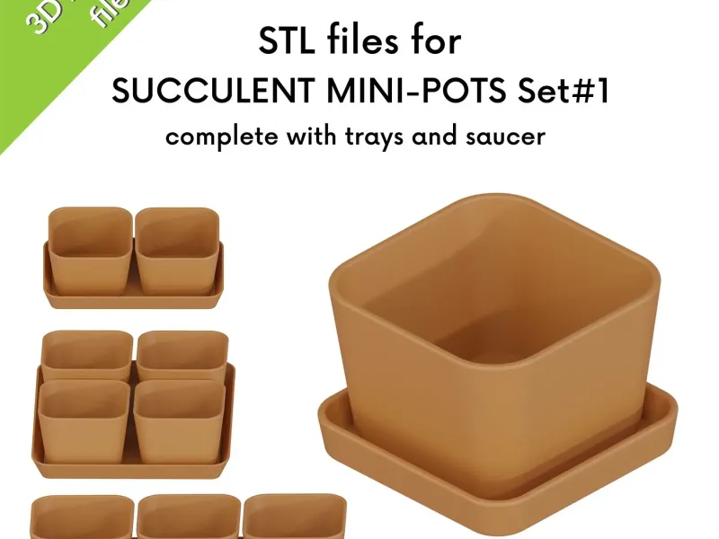 Succulent pots, small planters