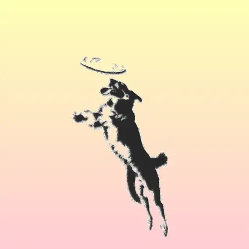 Dog Fetch.Jump Textile Accessory 