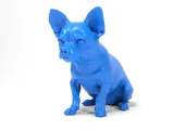 Chihuahua-1