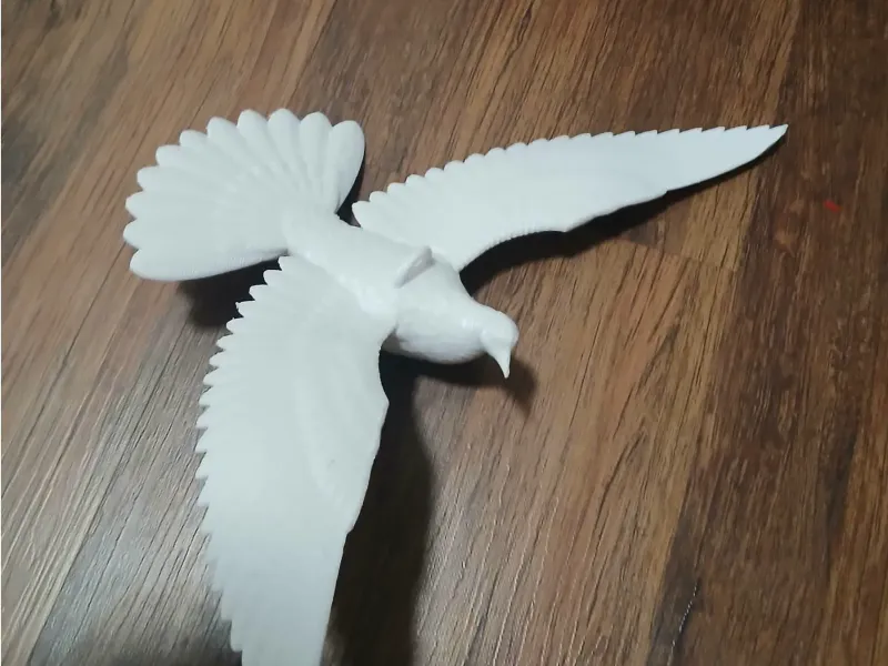 Dove, Hlubice, Tree dove, Dove Kevin, Chrismas dove