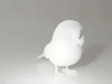 Bird cartoon-2