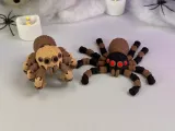 Flexi Spider 2 (Articulated)-5