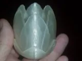 açık lale-2