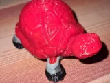 Große Schildkröte-2
