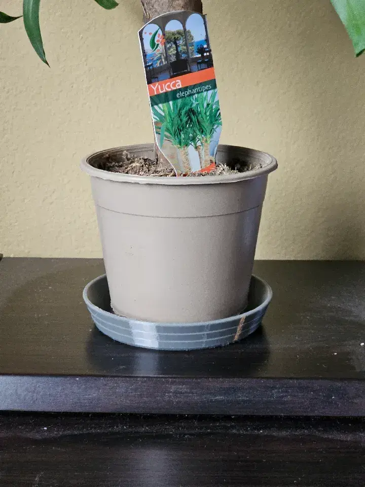 Flowerpot bowl 6-22cm