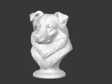 Australian Shepherd Dog Bust-1