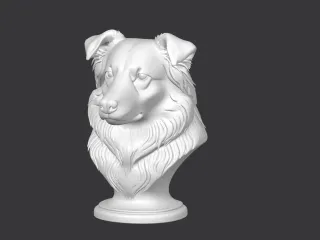Australian Shepherd Dog Bust
