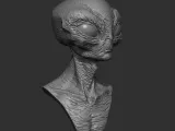 Grey Alien Bust-3
