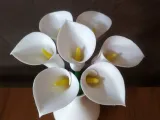 Decorative table lamp Calla Lily flower-3