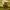 Star Wars-Inspired Ewok Collectible Figurine