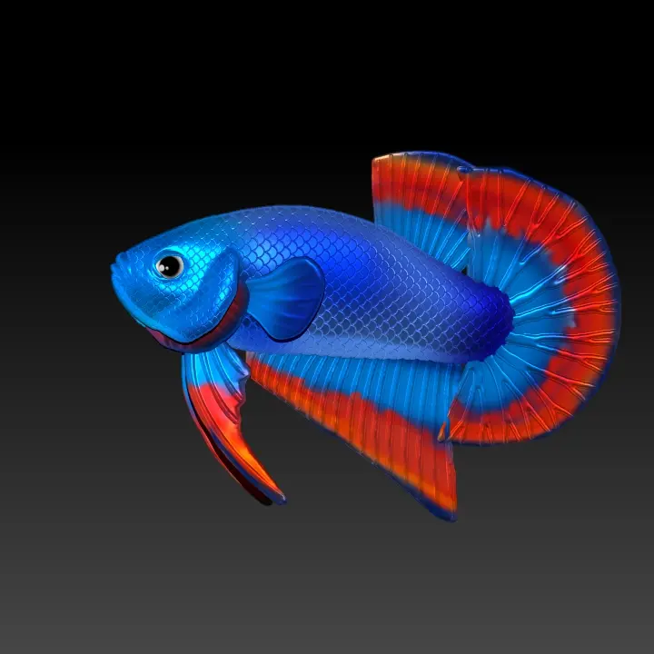 BETTA FISH 2