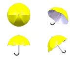 Umbrella-2