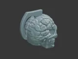 Skull with Exposed Brain 3D Print Model-8