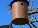 Small Bird House-0