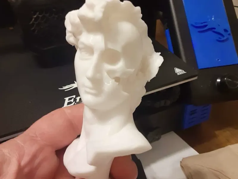 David's Cranium