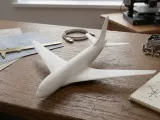 Small Airliner Model-2