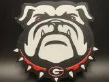 UGA Emblem -1