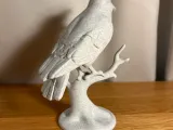 Crow on Branch-2