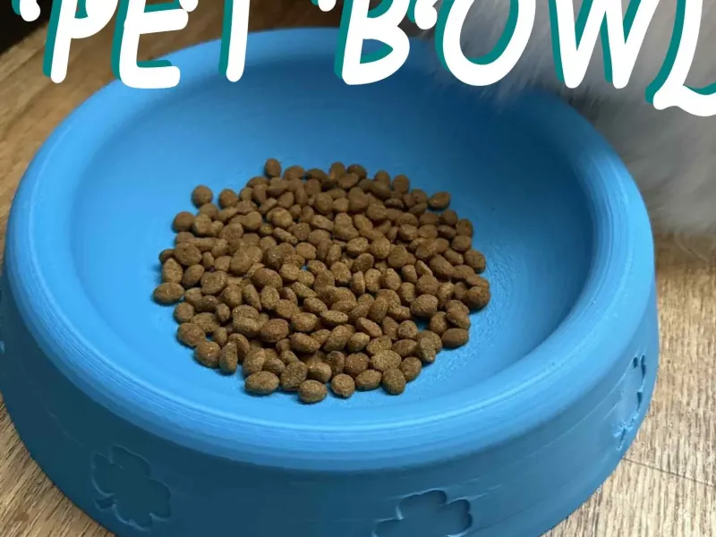Bowl for pets, cats, dogs