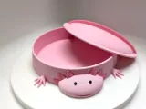 Axolotl Sandbox-1