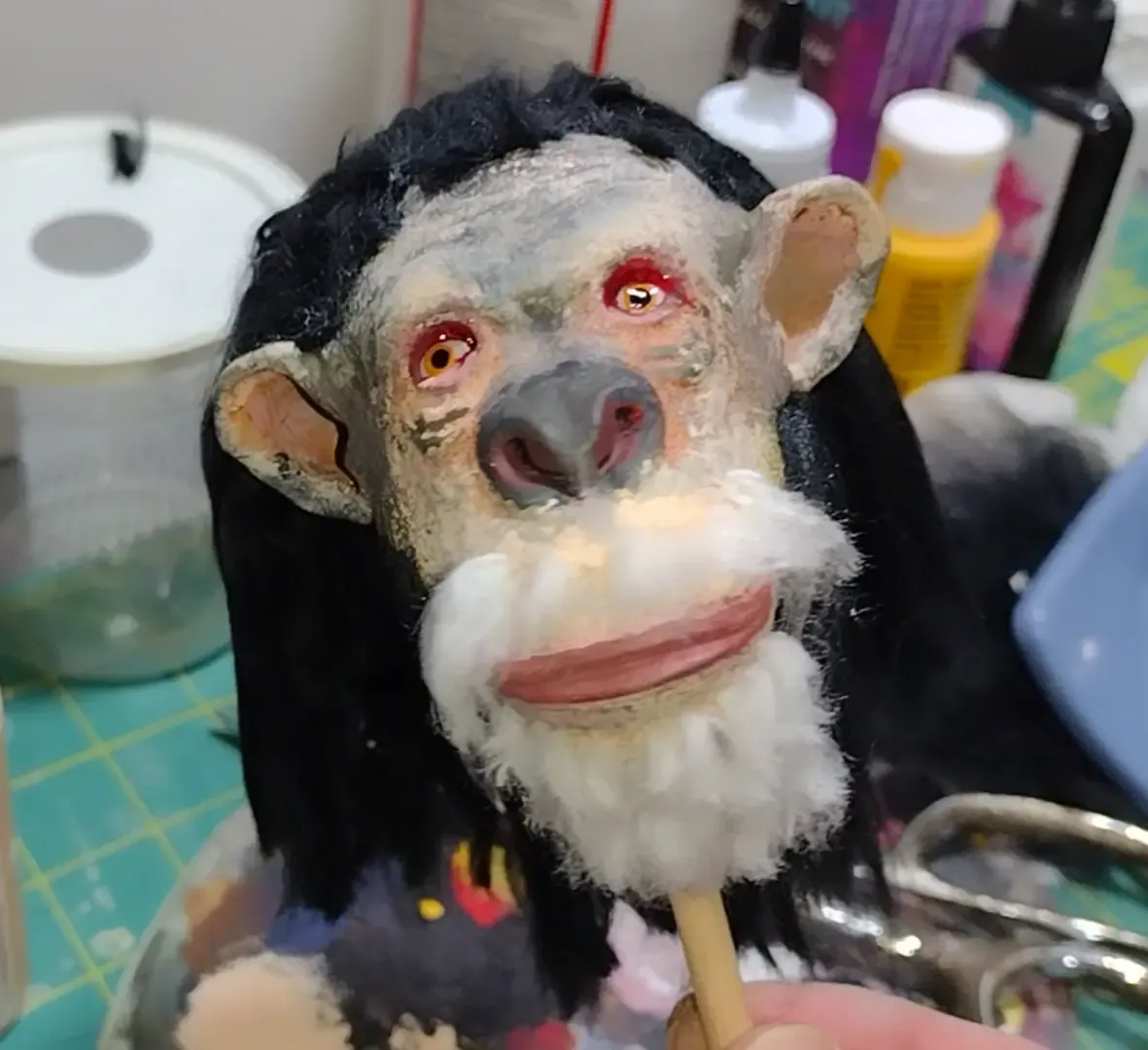 chimpanzee head 