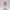 Serenity Maid Delight – Ecchi Collection