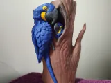 Hyacinth Nest-1