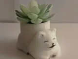 Jardinera Kitty-2