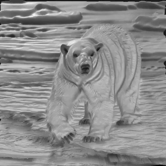 polar bear hunting near the cracked ice,