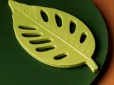 3d Leaf Coaster-0