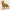 German Shepherd – Roots of Life