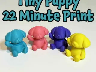 Tiny Puppy
