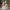 Snowman Winter Wonderland Figurine ☃️