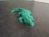 Realistic Crocodile-2