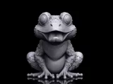 Frog-2