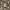 Christmas Tree Ornaments – Minimalist Set (5x)
