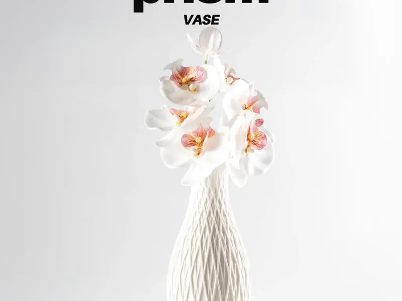 Prisme ⬝ Vase