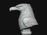 Eagle Bust-7