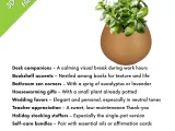 Mini Succulent Pots STL Files: Modern Planter Set #3-4
