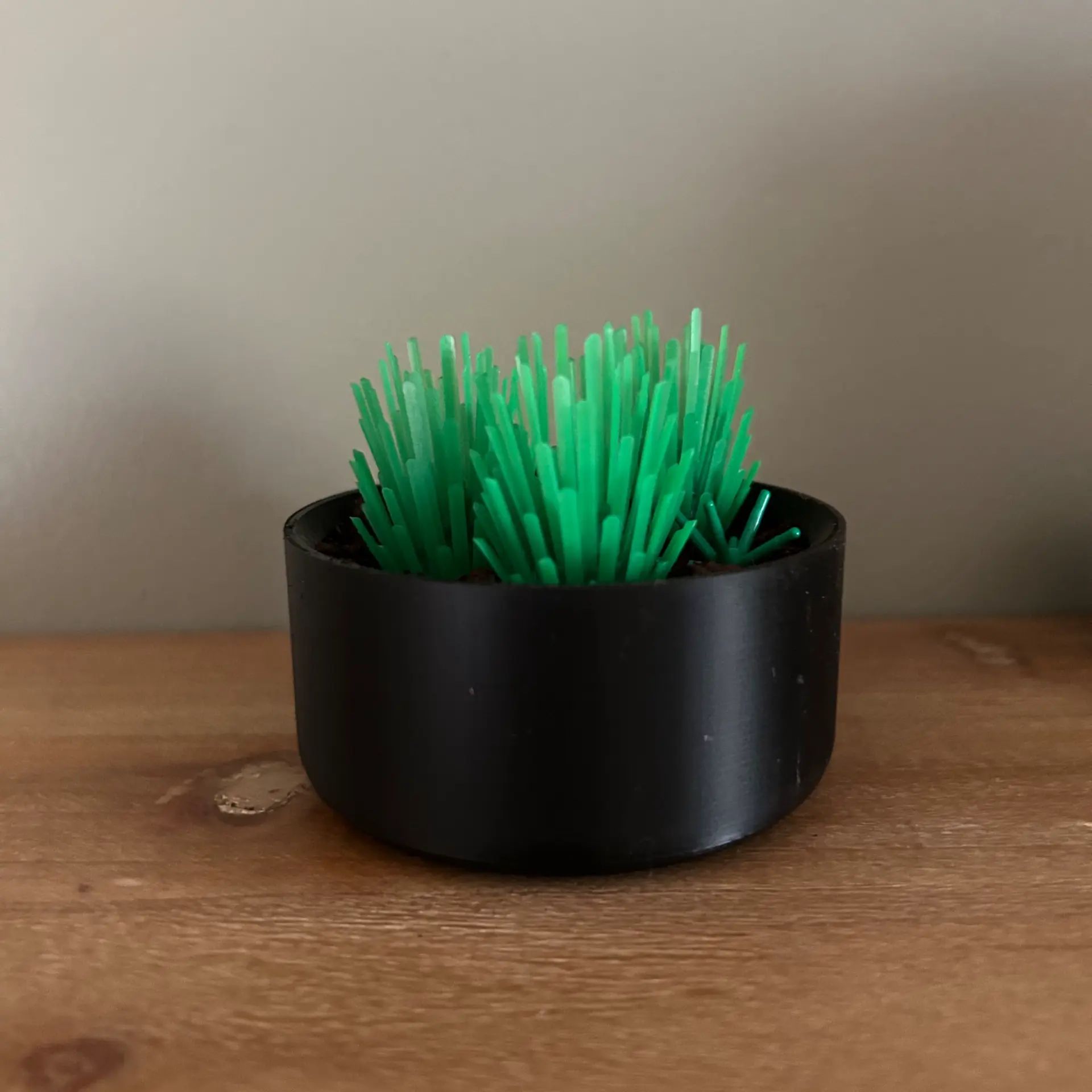 small plant pot